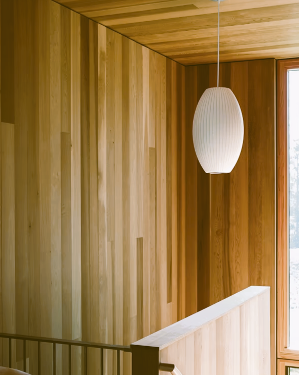 Cigar Bubble Pendant Light